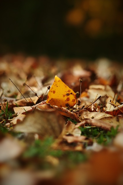 泽马与队友 泽马与队友