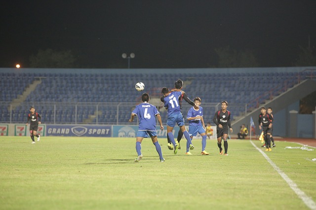 无论是为了 无论是为了