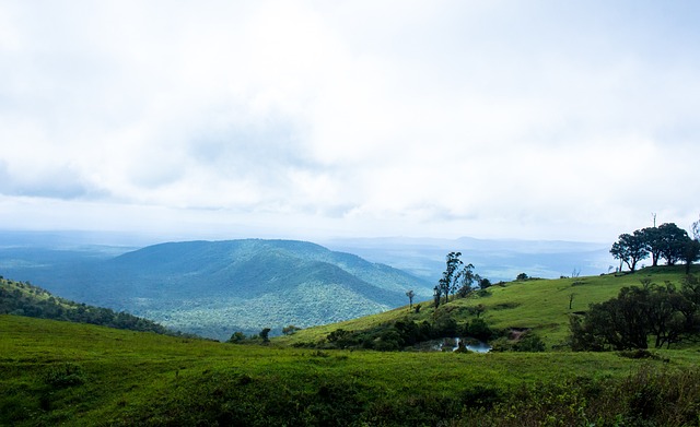 续带给我们 续带给我们